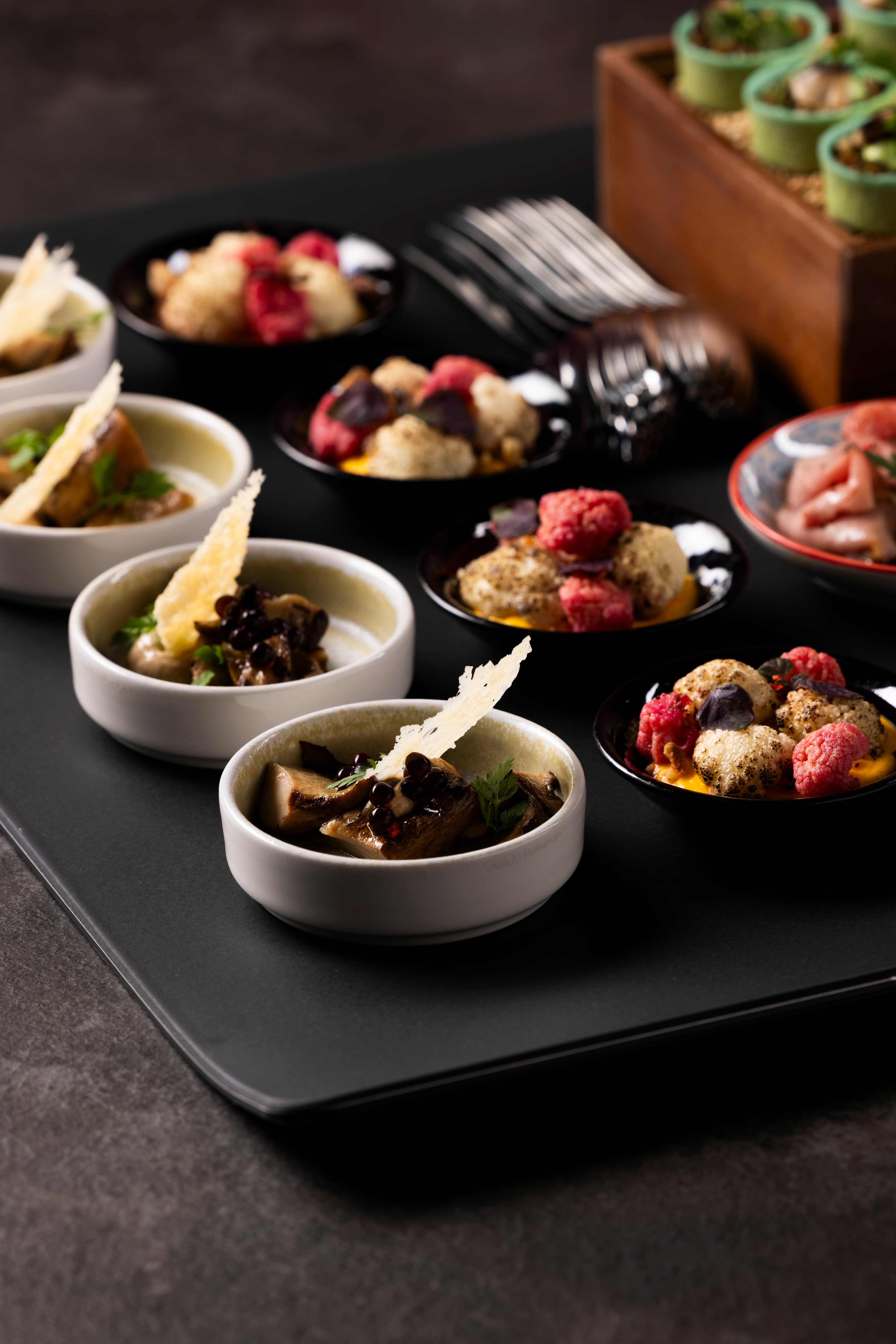 Appetizers, Vegetarian Culinary Line, Event Catering at KKL Luzern